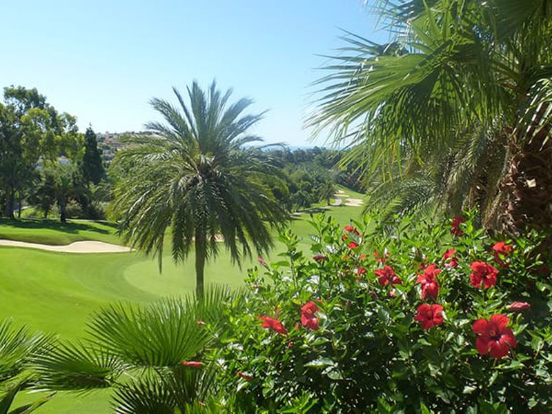 Torrequebrada Golf Course Spain (3)