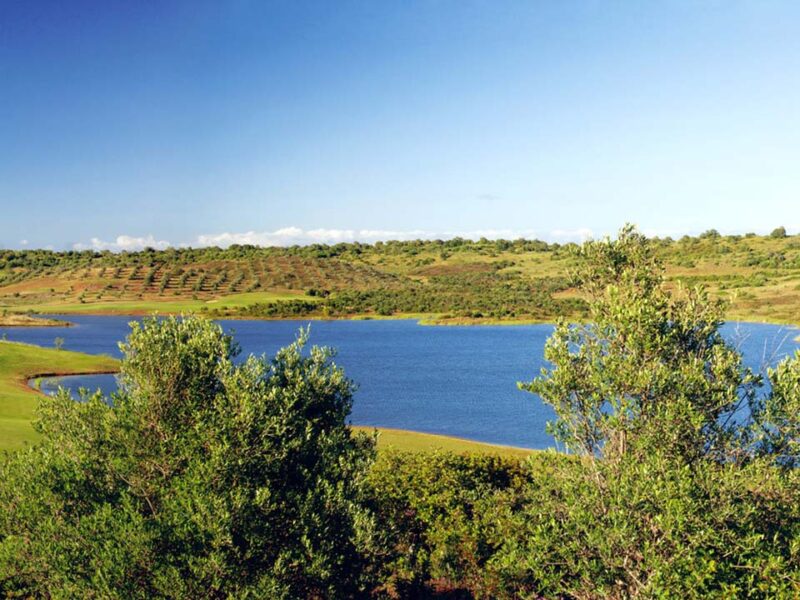 Alamos Golf Course 1